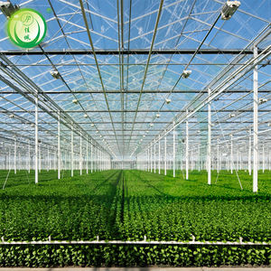 โรงเรือนอัตโนมัติพร้อมโต๊ะปลูกเคลื่อนที่แบบตาข่ายลวดชุบสังกะสีแบบจุ่มร้อนสำหรับการ<span class=keywords><strong>เพาะ</strong></span>เลี้ยง<span class=keywords><strong>กล้วยไม้</strong></span>และการ<span class=keywords><strong>เพาะ</strong></span><span class=keywords><strong>เมล็ด</strong></span> - Product Image 5