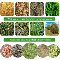 Machine agricole multifonctionnelle en acier inoxydable pour l'alimentation animale à base d'herbe, haute productivité, mini hacheuse de fourrage