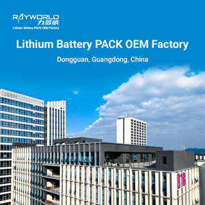 Système de batterie empilable Rayworld 51,2 V 5 kWh LiFePO4 au lithium pour le stockage d'énergie domestique, produit très vendu - Product Image 6