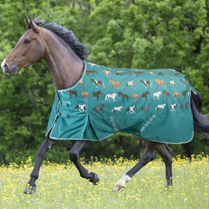 أغطية خيول قابلة للتنفس ومتينة للاستخدام اليومي في الهواء الطلق، أغطية خيول مبطنة ناعمة للدفء الأنيق والراحة في الإسطبل - Product Image 1
