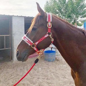 Bridon réglable de haute qualité pour cheval, selle anglaise, licol en nylon, équipement d'équitation, course d'endurance, confortable - Product Image 5