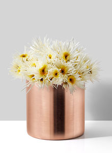 Home Decorative Metal Flower Bowl <b>Vase</b> With <b>Copper</b> Finishing Modern Aluminum Flower Pots for Home and Table Decoration - Product Image 2