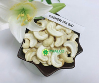 Vietnam Cashewnüsse W320 W240 W180 Rohe getrocknete Nüsse, Premium-Qualität, Bulk Export Factory Supply