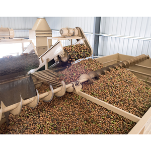 Noix Légères Noyaux Prix Noix Noyaux Biologique Sans Coque - Product Image 2