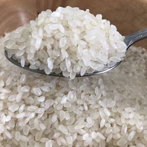 Anna DO's arroz blanco de grano medio pulido doble Vietnam 5% aceite roto pulido calrose egipcio Camolino Riso Riz Welled - Product Image 3