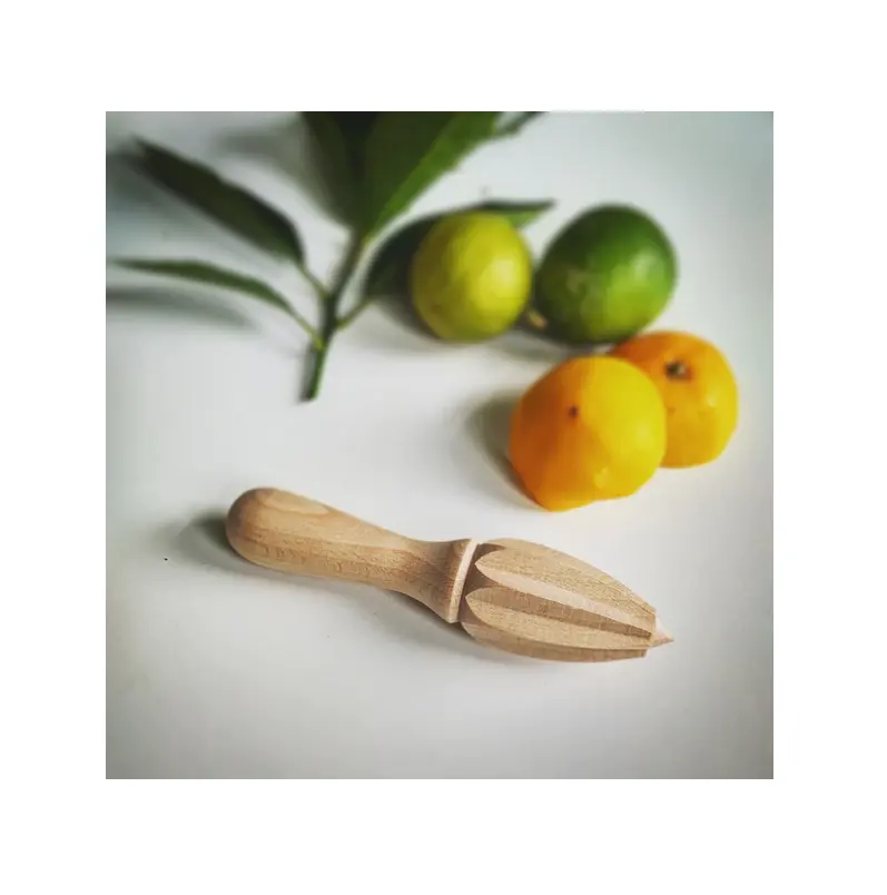 Offre Spéciale gadgets de cuisine outils d'alésoir de citron en bois presse à main presse-ail broyeur meilleur design de haute qualité