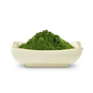 Fabricant direct poudre de feuille de Moringa de qualité alimentaire de haute qualité extrait de plantes naturelles pures extrait par solvant emballage personnalisé chaud - Product Image 1