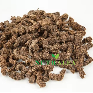 Racines de valériane de haute qualité Valeriana officinalis disponibles en vrac - Product Image 1
