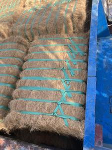 Vietnam Origin Coconut Fiber 10% Moisture Eco-Friendly <b>Agriculture</b> Product - Product Image 3