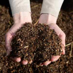 Ropa de cama para caballos de suelo de bosque orgánico: 100% Natural - Product Image 1