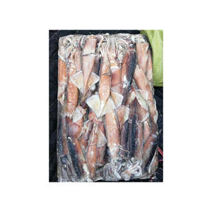 Calmar volant rouge surgelé de qualité supérieure proposé au prix d'usine pour les distributeurs - Product Image 5