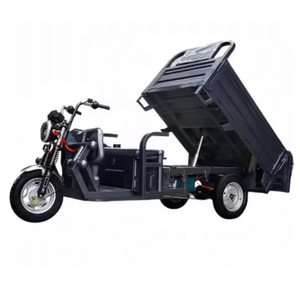 Triciclo Eléctrico Cerrado Económico para Pasajeros, Tuk Tuk para 4 Pasajeros, 200-250W, 60V - Product Image 1