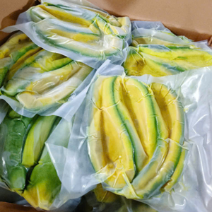 PULPA DE AGUACATE CONGELADO-EMBALAJE A GRANEL PARA MERCADO DE EXPORTACIÓN - Product Image 6