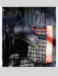 กระเป๋าใส่ของสำหรับให้ช้าวัสดุแข็งแรงทนทานกระเป๋าสำหรับป้อนอาหารมีวัสดุเป็นม้า - Product Image 4