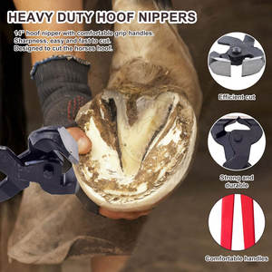 Trousse à outils portative de maréchal-ferrant avec le sac durable et l'essentiel de soin de sabot - Product Image 3