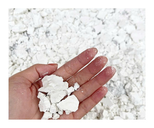 Polvo de Arrowroot de Fabricante Vietnamita, Empaquetado a Granel Premium, Calidad Estable, Apto para Compradores Internacionales y Proyectos OEM - Product Image 4