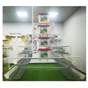 Ferme de volaille commerciale moderne à faible coût, Structure en acier, poulailler - Product Image 1