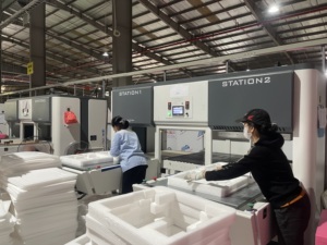 ถาดโฟม EPE คุณภาพสูงจากผู้ผลิตในเวียดนามสำหรับการขนส่ง - Product Image 5