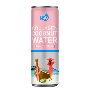 Agua de Coco OEM con Sabor a Piña, Lata de 250 ml, Certificación HALAL, Color Natural, Proveedor Mayorista de Vietnam - Product Image 3