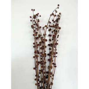 Pompon de fleurs séchées - Product Image 2