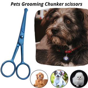 Ciseaux de toilettage pour animaux de compagnie, instrument médical, acier inoxydable, design durable et confortable pour les longues séances de toilettage, adaptés - Product Image 3