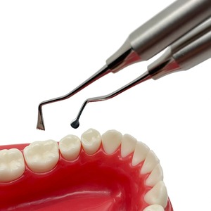 Separador Gingival de Acero Inoxidable de Alta Calidad, Empacador de Cordón de Retracción Gingival, Instrumento Dental de Doble Extremo - Product Image 1