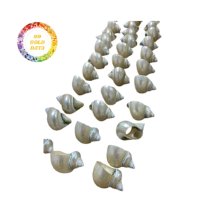 Servilleteros de concha marina natural para una decoración elegante del hogar, ideales para comidas navideñas, aniversarios e ideas de regalos reflexivas - Product Image 2