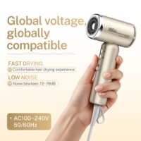 Sèche-cheveux ionique portable Binwang V60 de luxe, mini, haute vitesse, moteur DC sans balais, 1200W, tension universelle, avec diffuseur, idéal pour hôtel