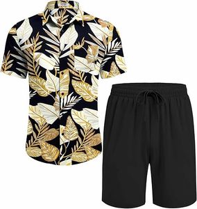 Conjunto de Verano para Hombre, Estilo Hawaiano, Informal, Transpirable, Antiarrugas, Tejido de Punto, Estampado, Cómodo, Venta al Por Mayor - Product Image 1