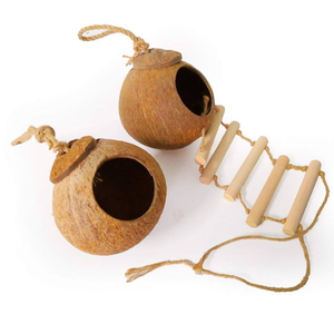 Nido de pájaro de cáscara de coco vietnamita 2025 de marca popular superventas exportación - Product Image 5