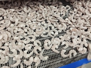 Obtener Precio Ahora Camarones Vanamei Congelados, Pelados y Desvenados - Product Image 2