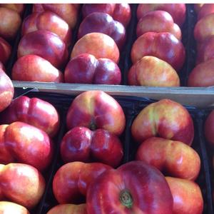 Nectarines - Fruits à pulpe dure - Teneur en sucre élevée 11% - Vente en gros - Product Image 6