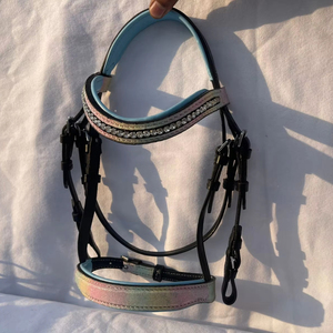 Brida de Cuero Acolchada con Diadema de Cristal para Caballo, Brida Inglesa para Exhibición y Competición - Product Image 1