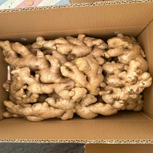 Exportador de jengibre fresco de Vietnam | El mejor precio, jengibre amarillo natural de alta calidad - Product Image 1