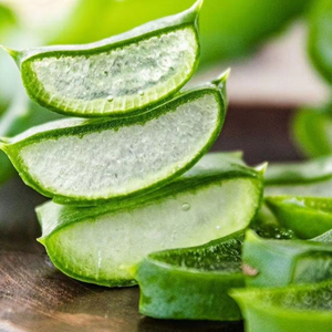 100% CHUNKS NATURAL DE ALOE VERA CONGELADO EXPORTACIÓN AL POR MAYOR VIETNAM CON PRECIO COMPETITIVO - Product Image 1