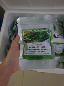 100% produk anggur laut organik alami anggur laut hijau rumput laut eksotis wilayah tropis segar/kering anggur laut