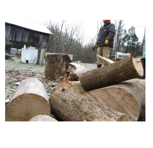 Troncos de arce sicomoro de alta calidad en venta a bajo precio, ideales para aserraderos, fábricas de muebles e industrias forestales. - Product Image 6