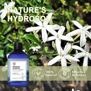 Hidrolato de Jazmín <span class=keywords><strong>Español</strong></span> - Hidrolato para Piel y Cabello, Difusor - Agua Floral 100% Pura y Natural de Jasminum Grandiflorum, 500 ml - Product Image 5