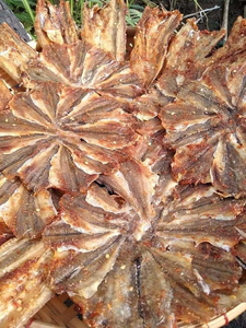 ปลาคราดแห้งเวียดนาม ผู้จัดจำหน่ายอาหารทะเล ปลาคราดแห้งปรุงรส พร้อมปรุง คุณภาพดีที่สุด ANGLE - Product Image 2