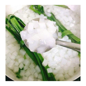Nata de COCO เหมาะสำหรับพุดดิ้งผลไม้และเครื่องดื่มมะพร้าวเจลลี่จากเวียดนามสำหรับสายผลิตภัณฑ์เขตร้อน - Product Image 4