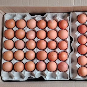 Œufs bruns à vendre, qualité supérieure et méthodes d'élevage biologique - Product Image 1