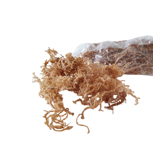 Retour à l'expédition! Mousse de mer sauvage/Mousse irlandaise/Eucheuma Cottonii Mousse de mer irlandaise blanche du Vietnam - Product Image 6