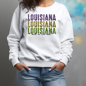 Pegatinas de Transferencia de Calor con Diseño de Boina de Luisiana, Apliques de Sublimación para Prendas y Sudaderas - Product Image 2