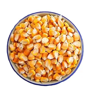 Оптовая продажа натурального кормового класса и человеческого потребления желтая кукуруза из Китая