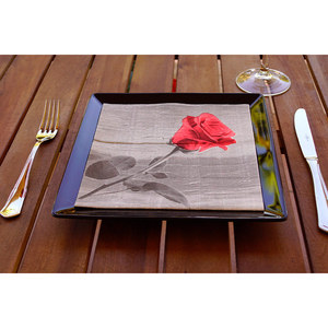 Tovaglioli Bella Print 40x40cm, Morbidi e Asciutti, 600 Pezzi, B2B - Product Image 2