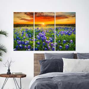 งานศิลปะบนผ้าใบพิมพ์ลาย: ของตกแต่งผนังลายทิวทัศน์ทุ่งบลูบอนเน็ต, ผ้าใบพิมพ์ลาย 3P - Product Image 1