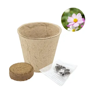 Barattolo di Semi di Limena Biodegradabile, Gadget Ecologico per Regali Promozionali e Aziendali - Product Image 3