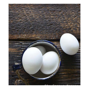 Œufs de poulet frais de la ferme, œufs de poulet frais de la ferme, œufs de Table et œufs de poulet à coquille blanche, vente en gros - Product Image 2