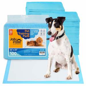 Nouvelles Tapis d'Entraînement Jetables Imperméables pour Chiots 2026 – Tapis de Toilette pour Chiens et Animaux Domestiques - Product Image 1