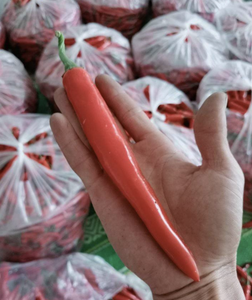 พริกแดงธรรมชาติสำหรับการแปรรูปอาหารและการจัดหาร้านอาหารเก็บเกี่ยวสดจากเวียดนาม - Product Image 2